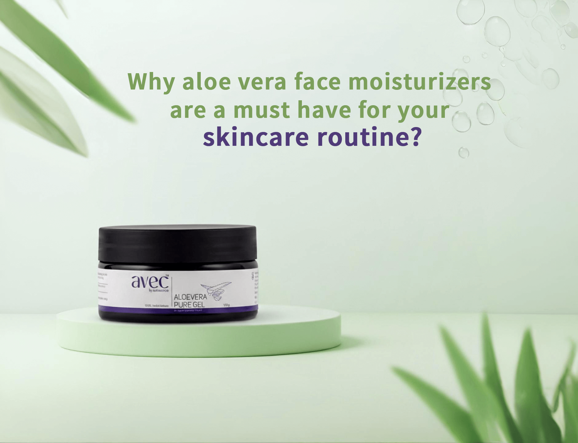 reine aloe vera Aloe Vera Gel ✓ bio ✓ vegan ✓ hochkonzentriert ✓ – reineoele main image 1