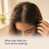 AVEC Ayurvedic Aloe Vera Hair Shampoo – Natural, Sulfate-Free Aloe Vera Shampoo for Healthy Hair