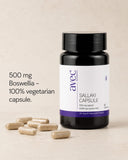 AVEC Organic Ayurvedic Sallaki Capsules 500mg – Herbal Support for Joint Health