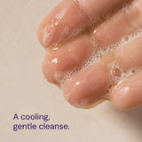 AVEC Ayurvedic Ramacham Root Extracter Face Cleanser – Gentle Hydration for All Skin Types