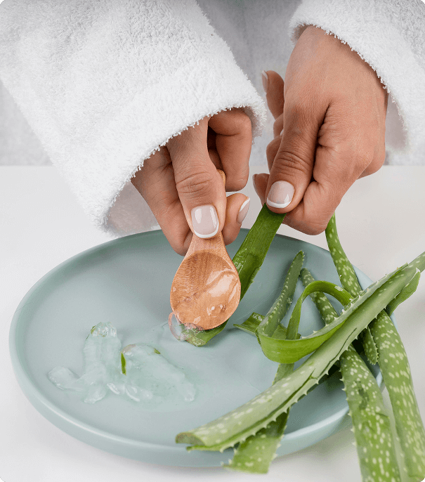 Fresh aloe vera gel extraction for skincare