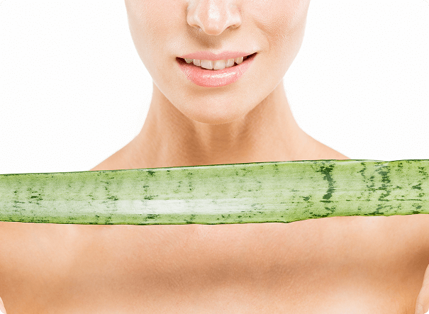 Woman holding fresh aloe vera leaf